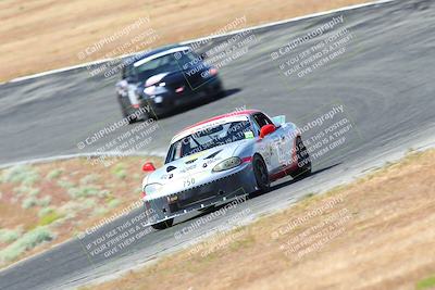 media/May-06-2023-Lucky Dog Racing (Sat) [[8f2256f436]]/Turn 2 10a/